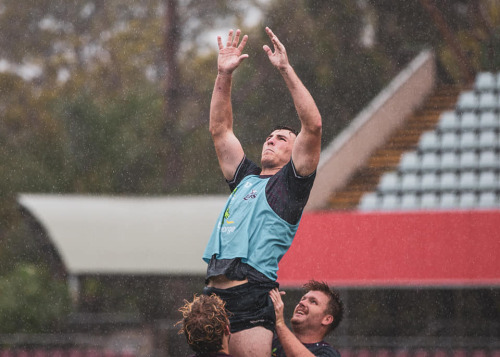 Testosterone Thursday Ryan Smith Exudes It In The Lineout! Woof, Baby!