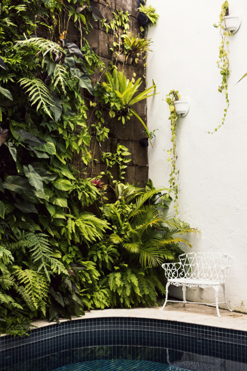 annstreetstudio:  It comes as no surprise that a city as magical as Salvador da Bahia would have a boutique hotel just as enchanting…in the charming Hotel Villa Bahia, I felt nothing but inspiration…      
