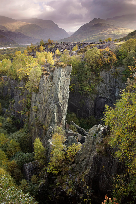 tulipnight:  Autumn Light by Richard Childs