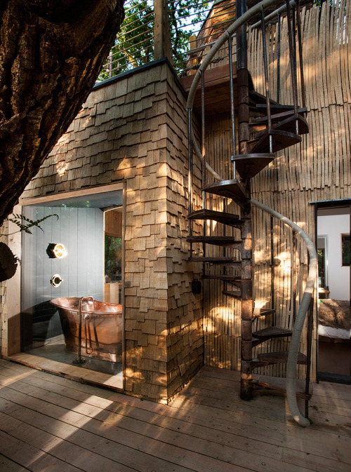 thedesigndome: Luxury Treehouse Hosts Modern Facilities Designed For Comfort The Woodman’s Tre