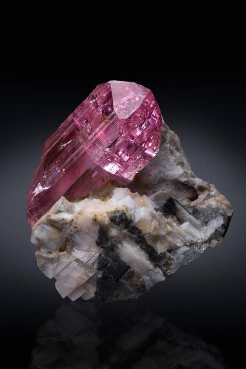 geologyin-blog:Rare Pink Topaz crystal from KatLang, Pakistan. Photo: Thomas Spann Gail and Jim Span