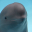 fofxequals0