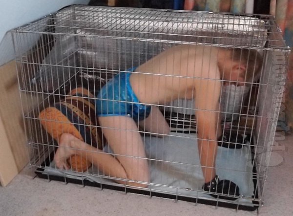 obxguy24:  pics I love &lt;3