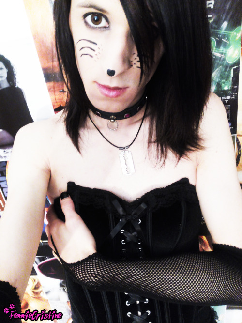 XXX  Meow? :3   photo