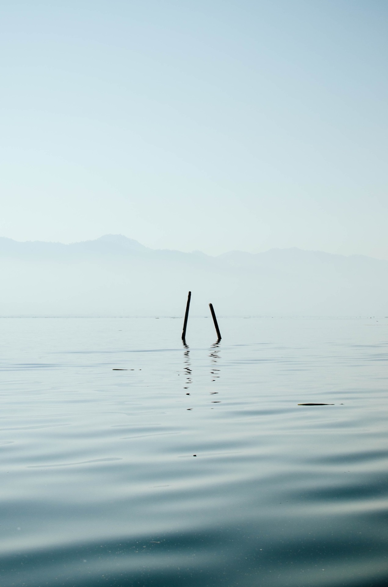 danielodowd:  http://brendanryan.vsco.co/