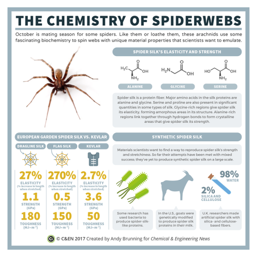 compoundchem:It’s October, which in the Northern Hemisphere means spiders are out and about &n