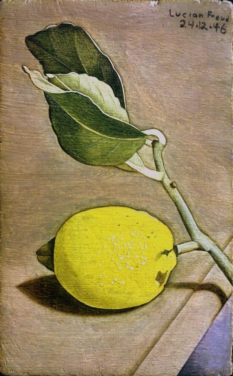 Still Life with Lemon   -     Lucian Freud, 1946British 1922-2011 Oil on panel, 6 x 3-&frac34; inches (17 x 9.5 cm)