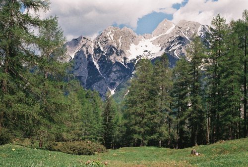 thinking of roadtrips and mountainsrandom pics from slovenia