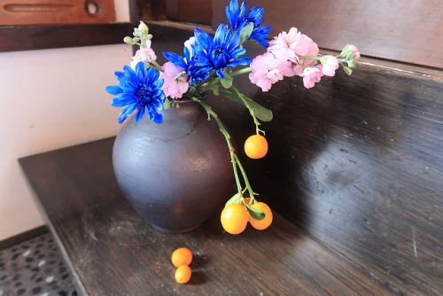 This Week’s Ikebana  - Sparkling BlueAt the local michi-no-eki someone had gone to a lot of trouble 