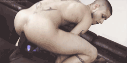 Top-Azzpirations:  Http://Top-Azzpirations.tumblr.com/Archive 
