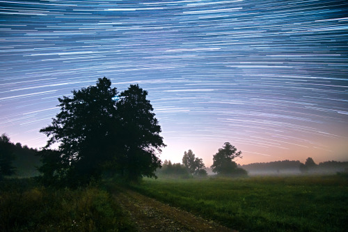 Star trails