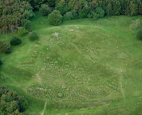 archaicwonder:Lindholm Høje, DenmarkLindholm Høje (Lindholm Hills, from Old Norse haugr, hill or mou