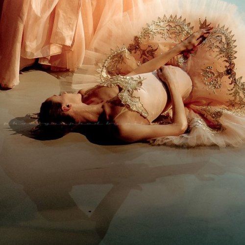 harmonicthemes: Svetlana Zakharova in Sleeping Beauty.  Photo by Nikolay Krusser