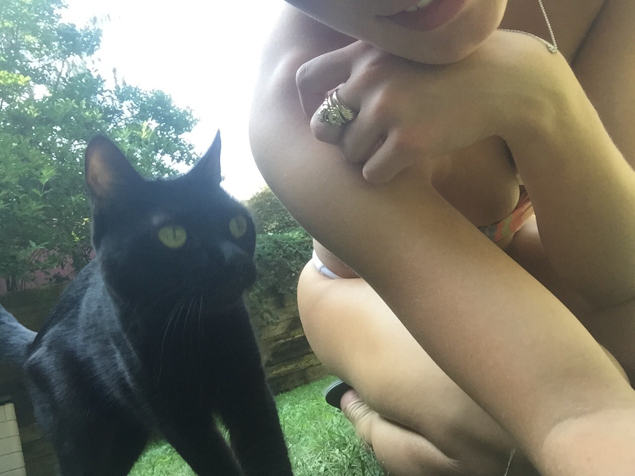 ikittenyou:  Kitty went outside today!ikittenyou 