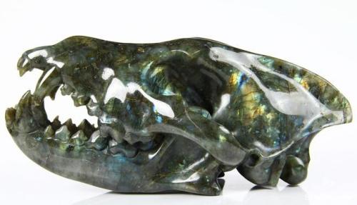 elegantwolves:Labradorite Wolf Skull