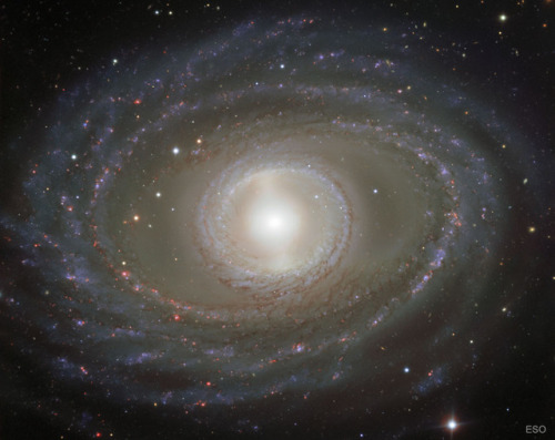 spinningblueball: Spiral Galaxy NGC 1398