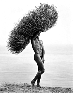 Gonakedco: Onlyoldphotography: Herb Ritts: Male Nude With Tumbleweed, Paradise Cove,