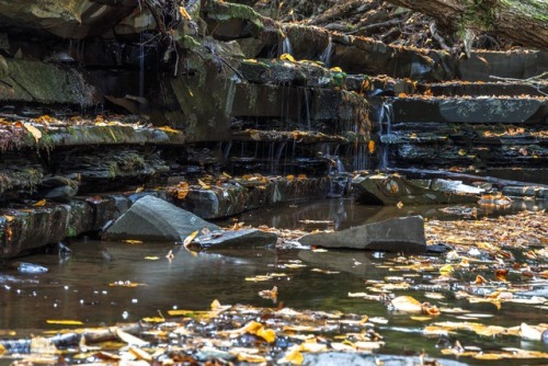 bwwhitney:Plotterkill Preserve 4Schenectady County, NY