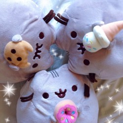 dreamcoloured:Three new babies arrived this week &lt;3 #pusheen
