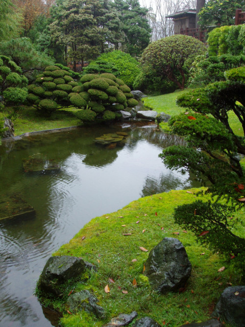 quiet-nymph:  Photography  by kgsix on Flickr 