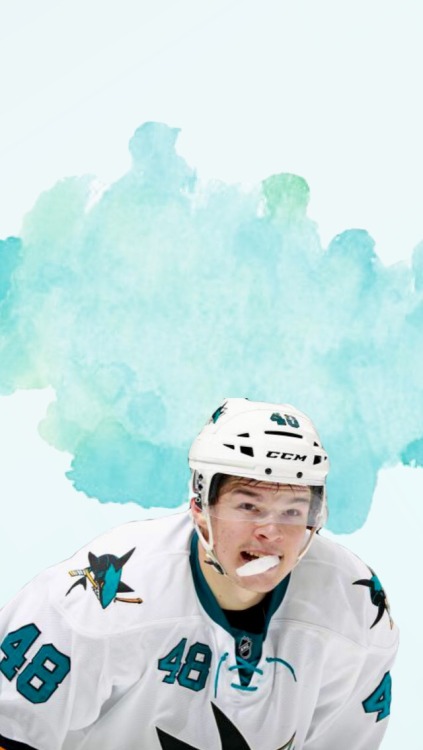 Tomas Hertl /requested by anonymous/