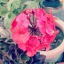 noorabl