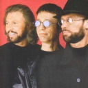 bee-gees avatar