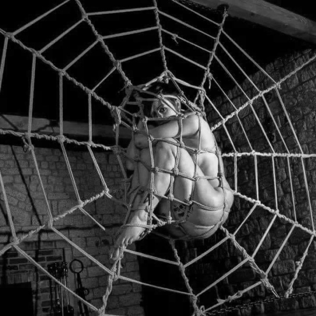 sensualhumiliation:while-i-kiss-the-sky:Sexy spider web !!