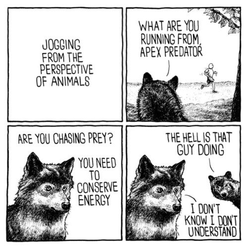 asapscience: We must look SO WEIRD to animals sometimes. [@jakelikesonions]