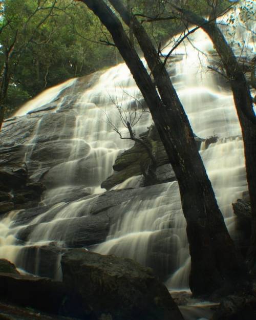 #KiliyurFalls is a waterfall in the Shervaroyan hill range in the #EasternGhats, #TamilNadu, India. 