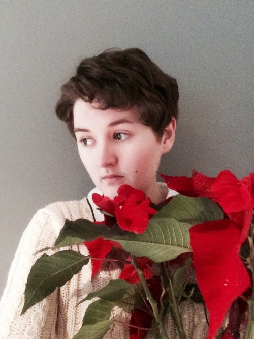 conan-doyles-carnations:Gratuitous dramatic poinsettia photos, feat. me feeling like an Ancient Gree