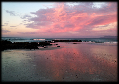  Tawharanui Wildlife Reserve, New Zealand 