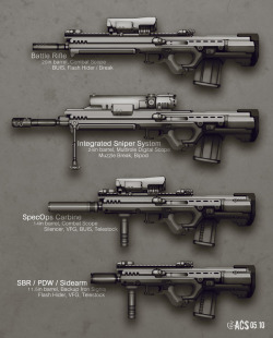 gunrunnerhell:  Adapted Rifle Variants -