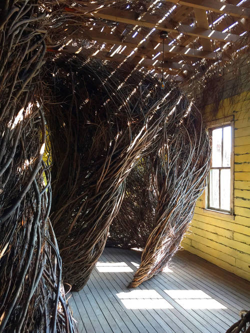 “Daydreams,” Tippet Rise Art Center, Fishtail, Montana, USA, Cushing Terrell in collaboration 