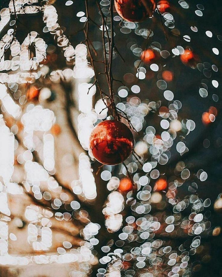 Winter Anytime