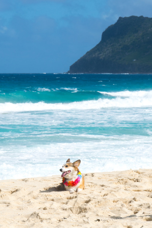 Valentine’s Day is almost here and I’m over here all alone. Just me and da waves.