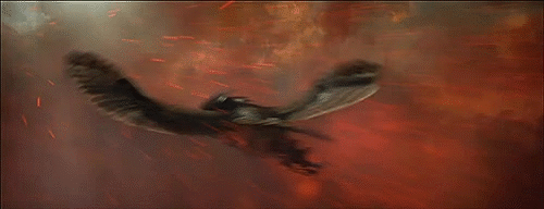 ricochethistory:  Will I ever stop being amazed at how beautiful this movie is? 