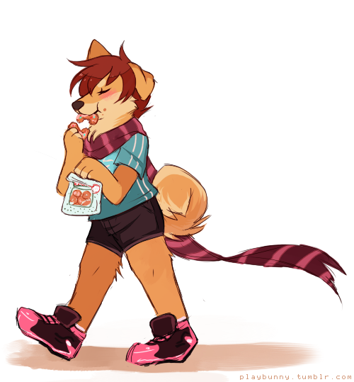 playbunny:  30 min doodle of karma, my shiba ocshe was supposed to be exercising