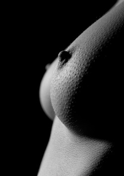 borrowederotica:The Breast (by Donald Gibbs)