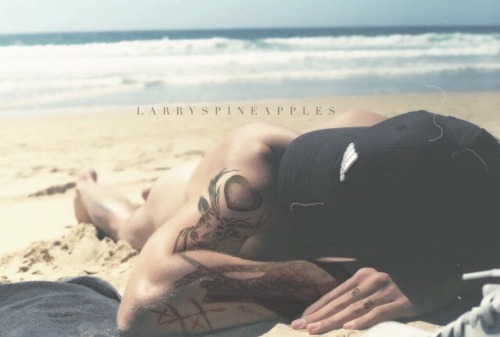 larryspineapple-nsfw:  photo taken by harry styles 