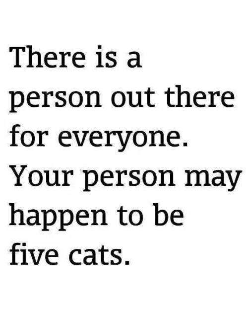 Lol, probably so, lol.