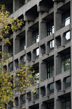 scavengedluxury:Kings College. London, October 2017. 