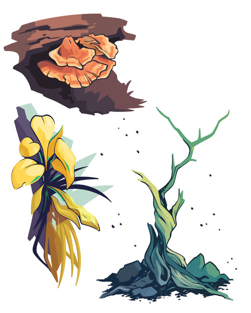 Quick drawings of plants from some of our park adventures last year: chicken of the woods, some cany