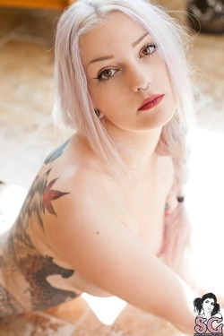 sglovexxx:  Vehera Suicide