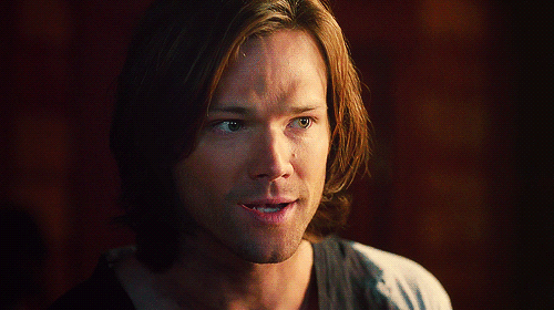 Words: 3,222 Sam x Reader Warnings: none! Summary: Y/N&rsquo;s sister is at the bunker door and 