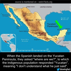 mindblowingfactz:    When the Spanish landed