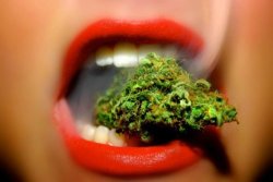 grow-your-weed:  Never pay for Weed again