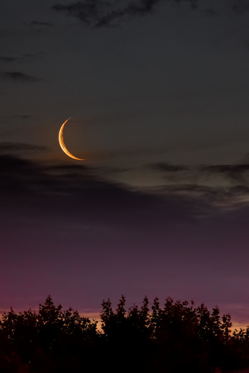 vurtual:The Golden Crescent (by lrargerich)A young 2 days old moon seen after sunset.