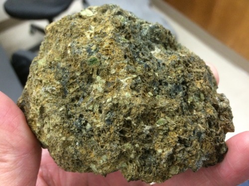 anomalokaris: Igneous, Metamorphic, Mantle rock petrography lab tomorrow. Lots of interesting textur