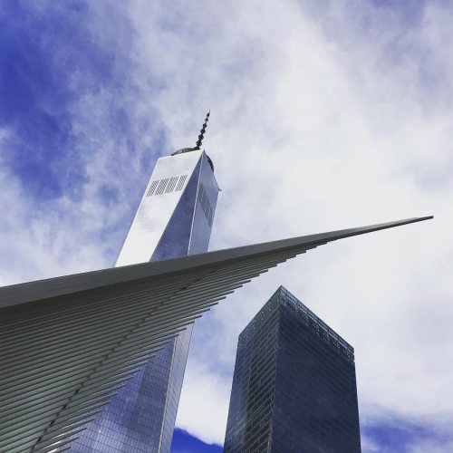 NYC landscape ❤️ #nyc #newyorkcity #newyork #freedomtower #oculus #downtown #lowermanhattan #archite